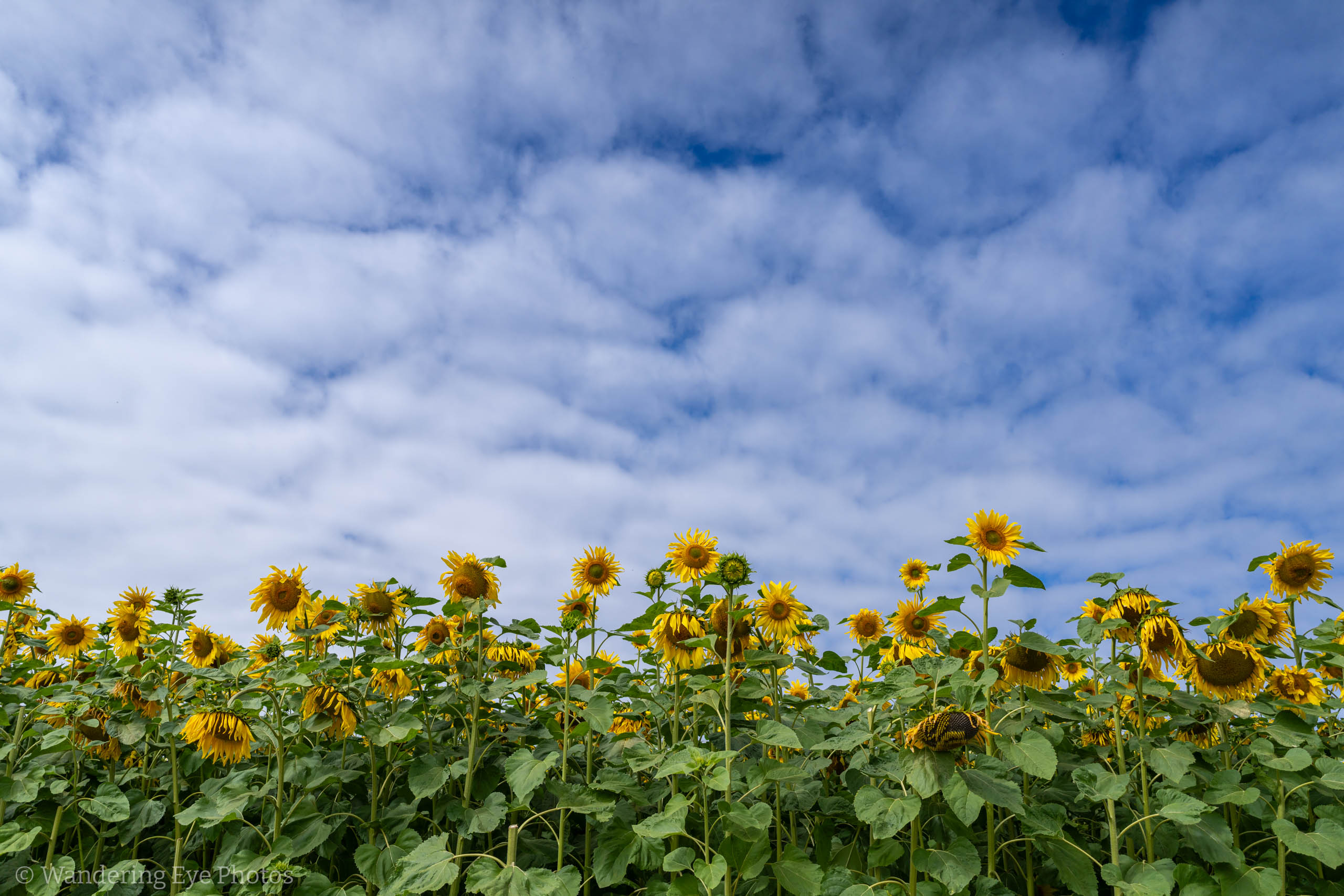 08.11 11.39.57   DSC02905